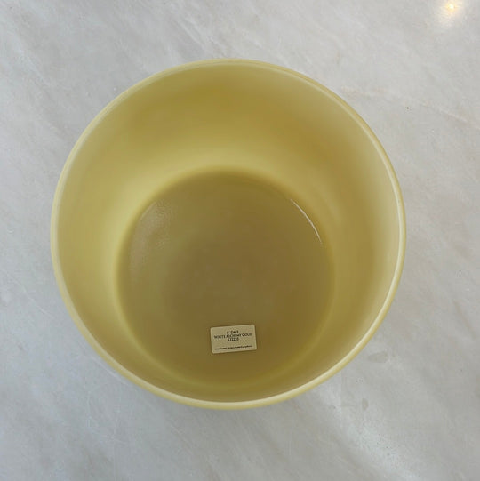 8" D#-5 White Alchemy Gold Bowl 122235 Crystal Tones® Alchemy Crystal Singing Bowl